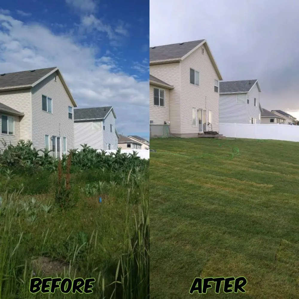 Reliable lawn care service in Magna, UT by Magna Lawn Care