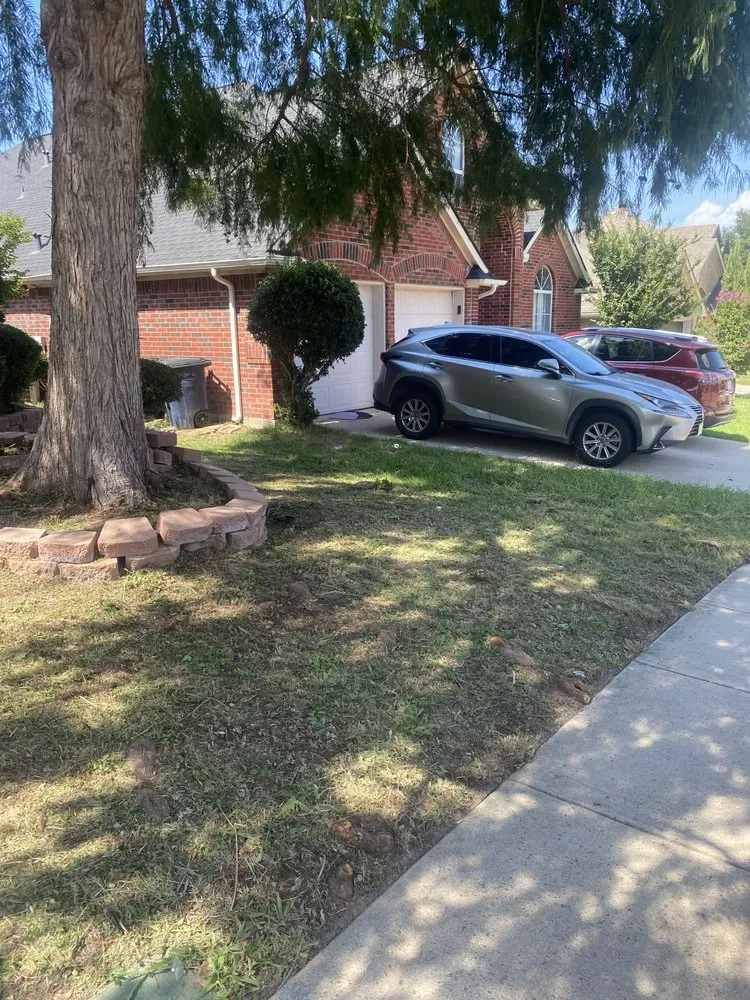 Local garden landscaping in North Richland Hills, TX by Magnificent Care