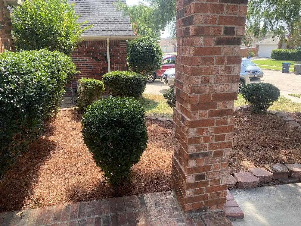 Trusted landscape design in North Richland Hills, TX - Magnificent Care