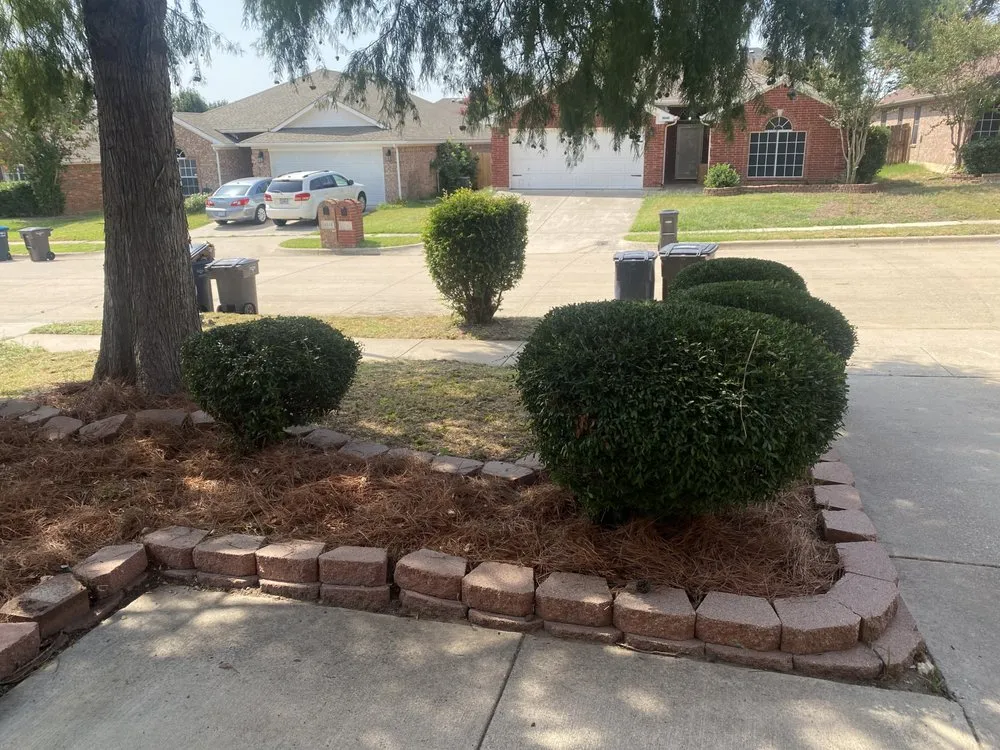 Affordable lawn care service for outdoor upgrades in North Richland Hills, TX by Magnificent Care