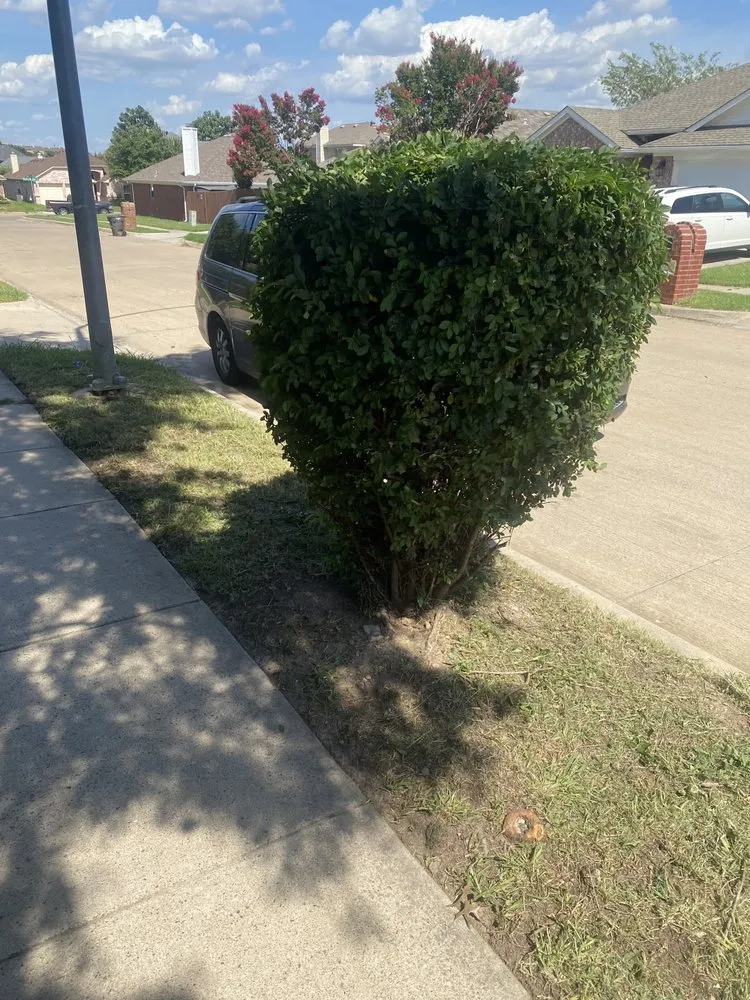Custom outdoor landscaping for year-round maintenance across North Richland Hills, TX - Magnificent Care