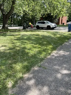 Magnificent Lawn Care Logo