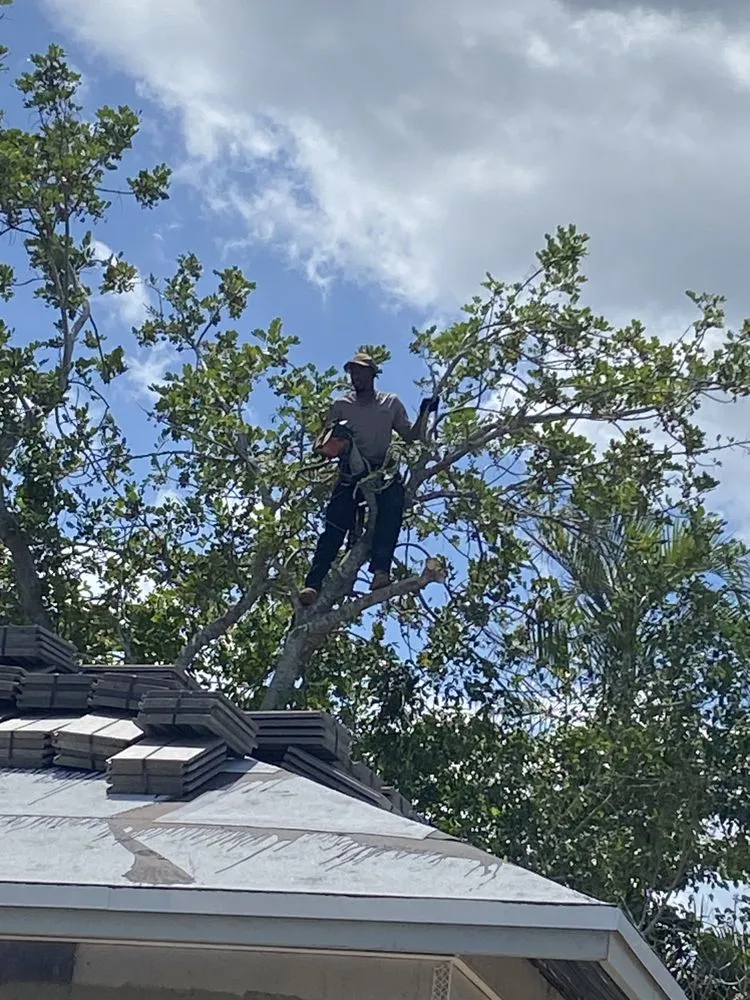 Top-rated lawn mowing service with custom design in Riviera Beach, FL by Magnificent Pressure Cleaning And More