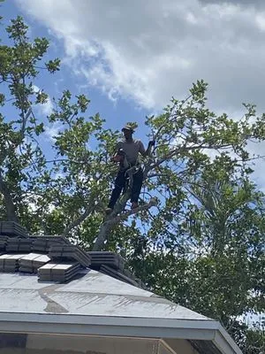 Magnificent Pressure Cleaning And More