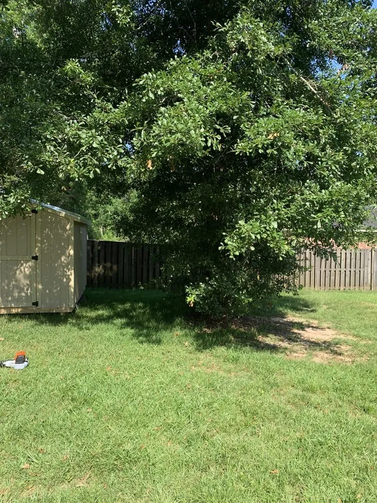 Custom yard maintenance in Spanish Fort, AL by Magnolia Bay Property Management