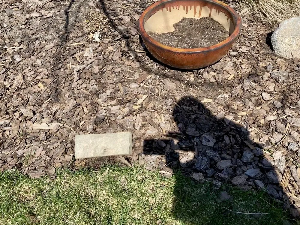 Affordable yard cleanup service for residential properties in Cologne, MN by Magnolia