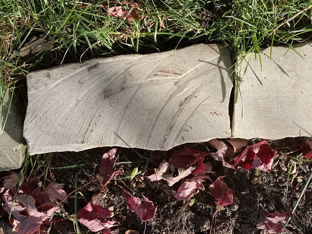 Reliable landscaping services experts serving Cologne, MN - Magnolia