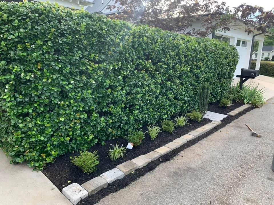 Professional landscape design in Grovetown, GA by Magnolia Creek Landscape