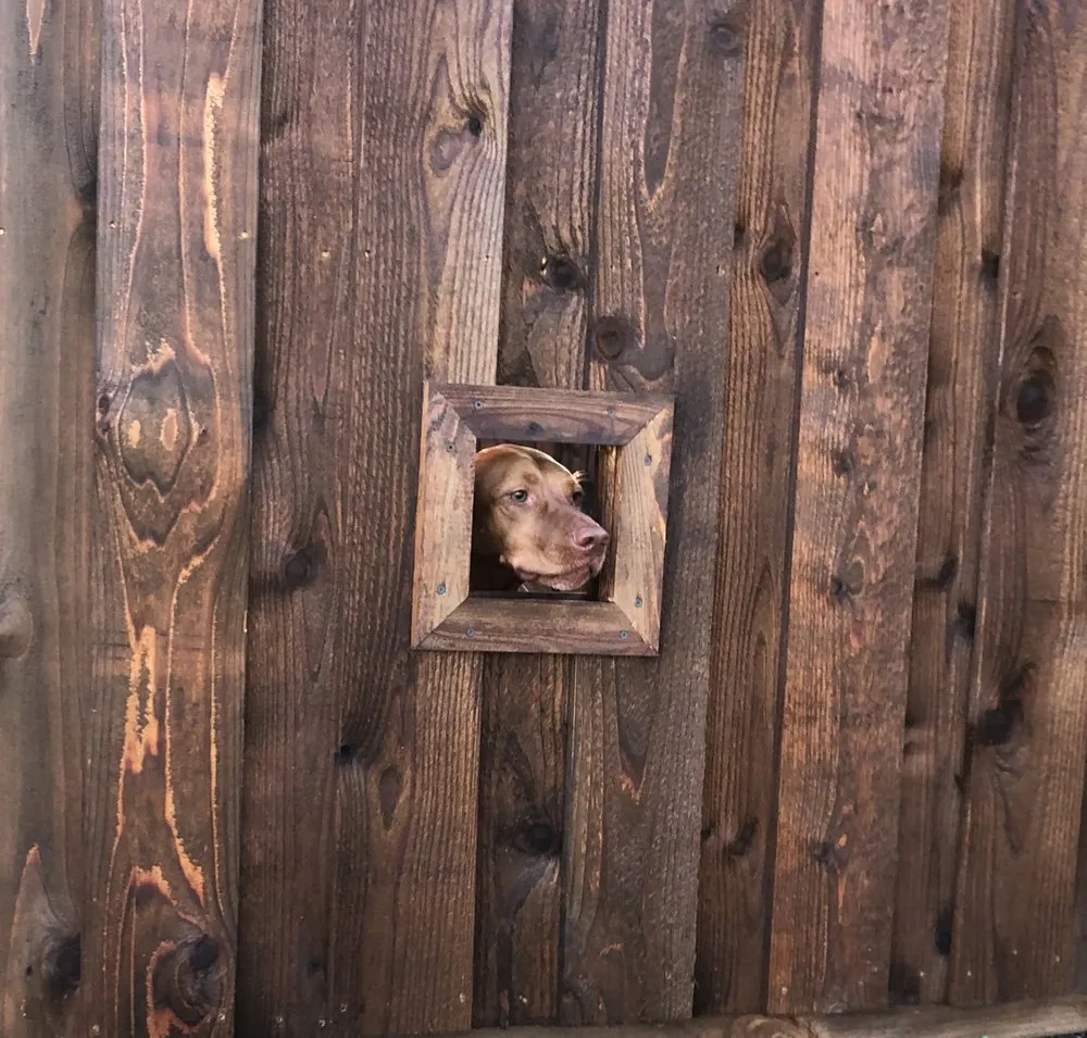 Reliable yard maintenance in Fort Worth, TX - Magnolia Fence & Patio