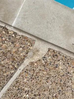 Magnolia Fence & Patio Logo