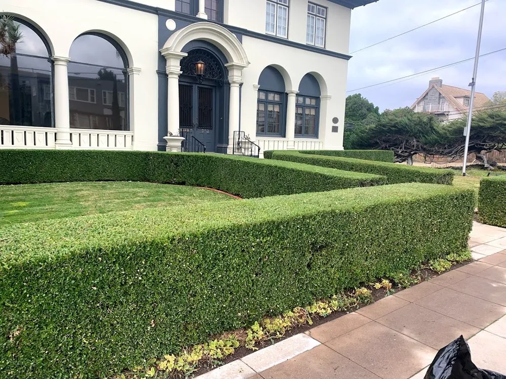 Local yard maintenance for outdoor upgrades across Lemon Grove, CA - Magnolia Garden & Construction