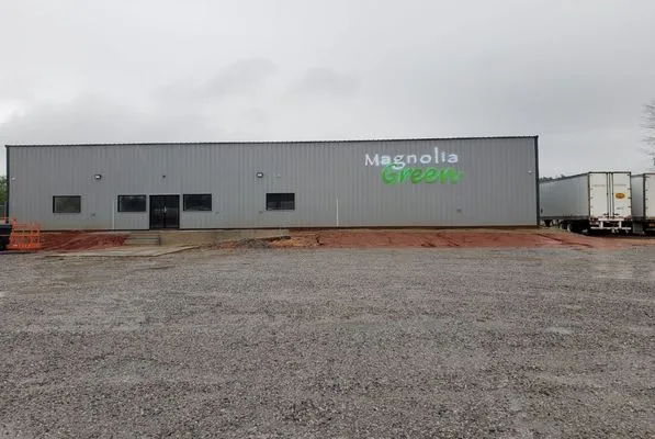 Magnolia Green