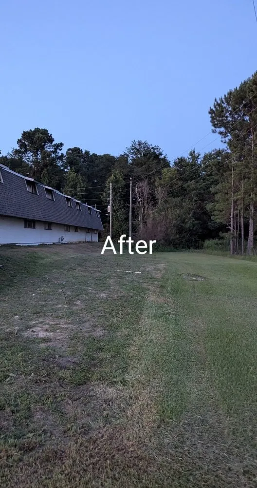 Top-rated landscape installation for residential properties across Eupora, MS - Magnolia Home and Yard Services