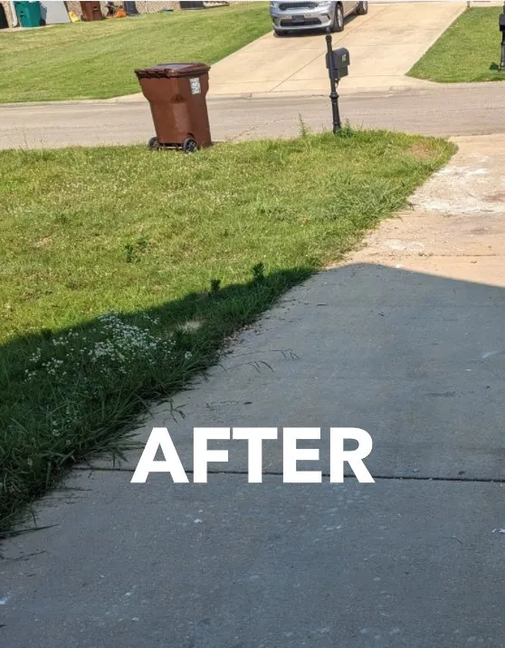 Reliable landscaping services experts serving Eupora, MS - Magnolia Home and Yard Services