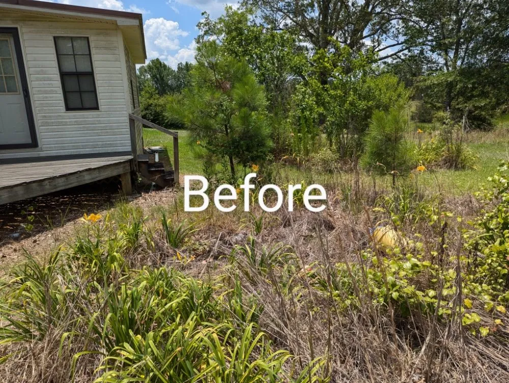 Local residential landscaping in Eupora, MS - Magnolia Home and Yard Services