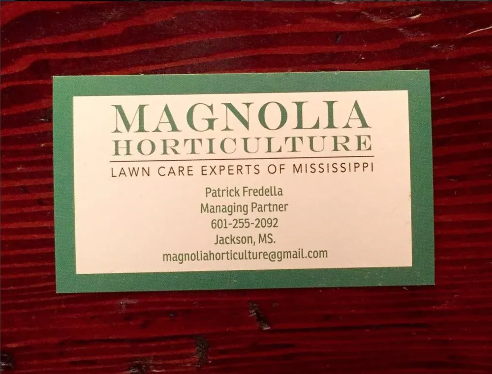 Local yard maintenance for outdoor upgrades across Jackson, MS - Magnolia Horticulture