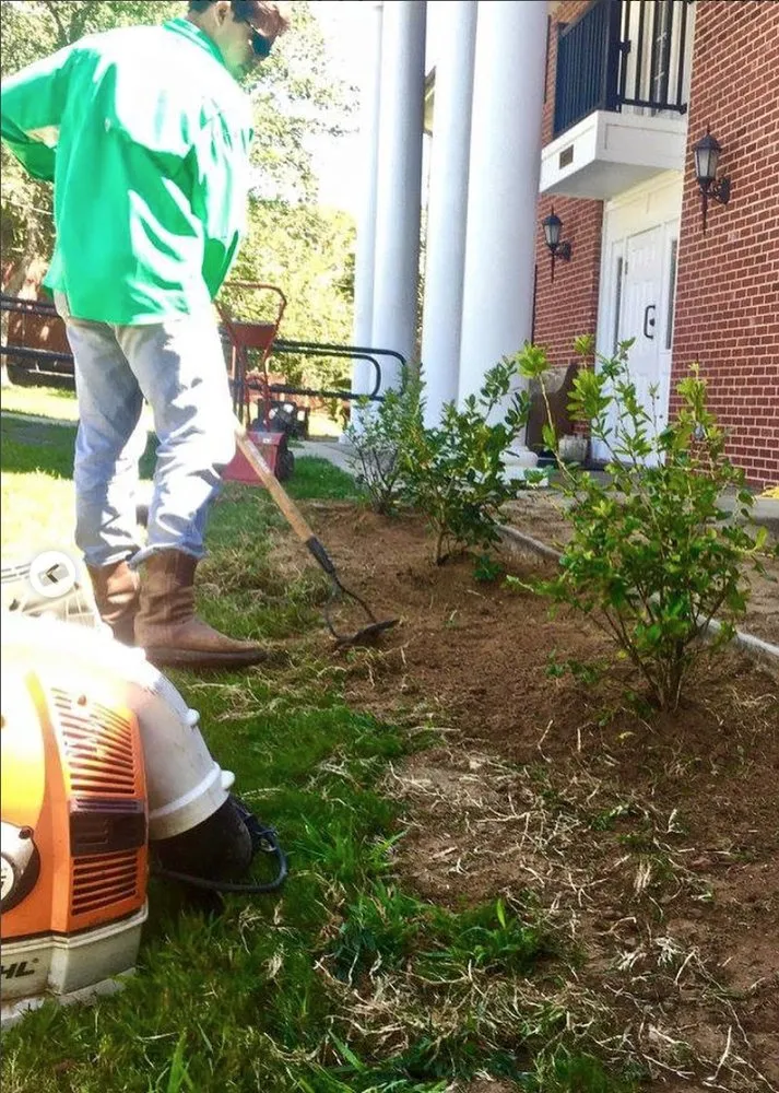 Affordable lawn care service experts serving Jackson, MS - Magnolia Horticulture