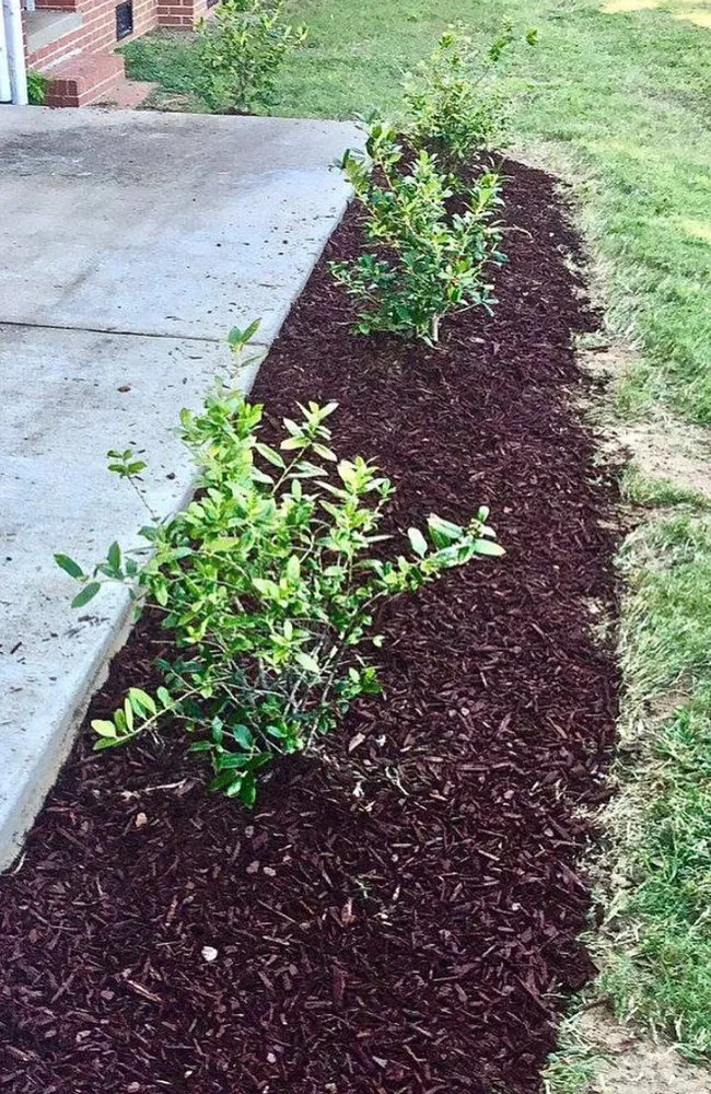 Professional landscaping services near you across Jackson, MS - Magnolia Horticulture