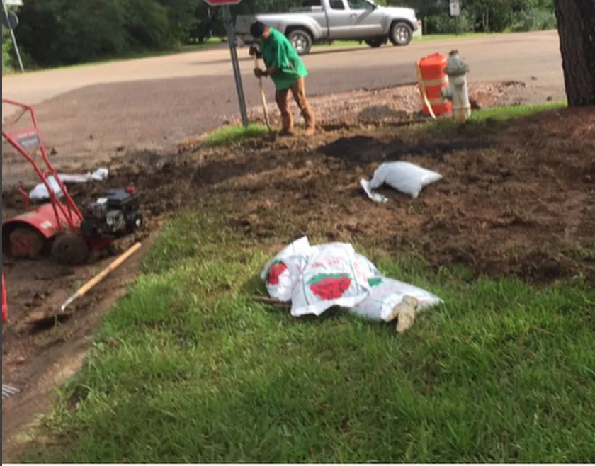 Reliable lawn care service near you across Jackson, MS - Magnolia Horticulture