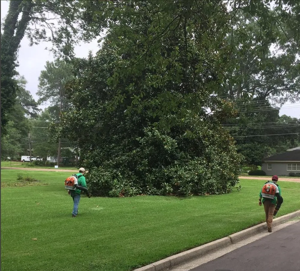 Professional residential landscaping for residential properties across Jackson, MS - Magnolia Horticulture