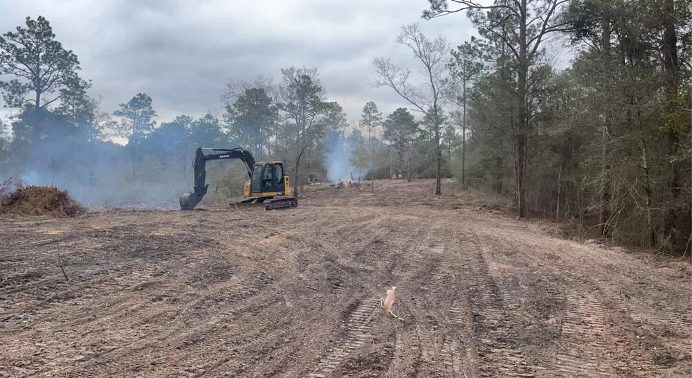 Local yard cleanup service near you across Wiggins, MS - Magnolia Land And Lawn