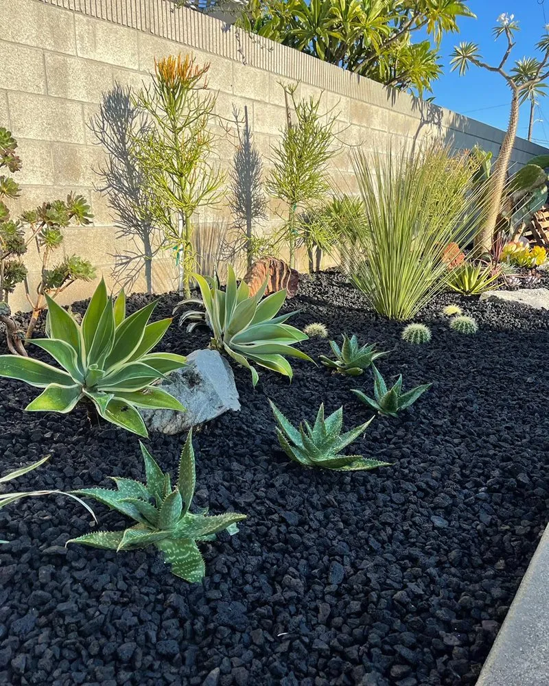 Top-rated landscape design with custom design across Downey, CA - Magnolia Landscape & Design