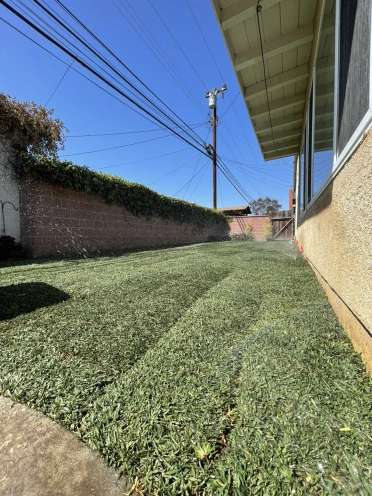 Top-rated yard maintenance in Downey, CA by Magnolia Landscape & Design