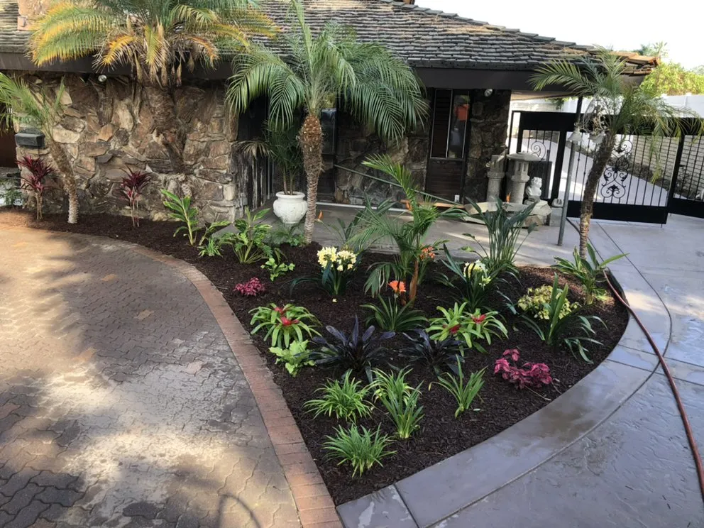 Expert yard maintenance in Downey, CA - Magnolia Landscape & Design
