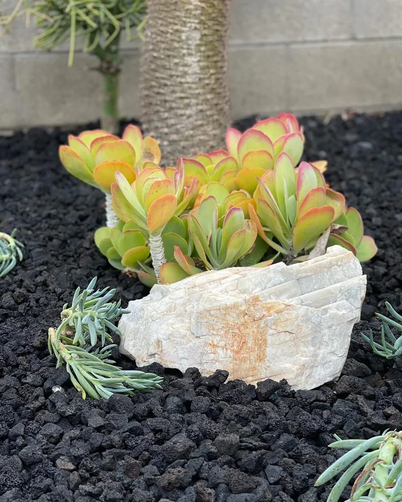 Affordable residential landscaping for beautiful yards in Downey, CA by Magnolia Landscape & Design