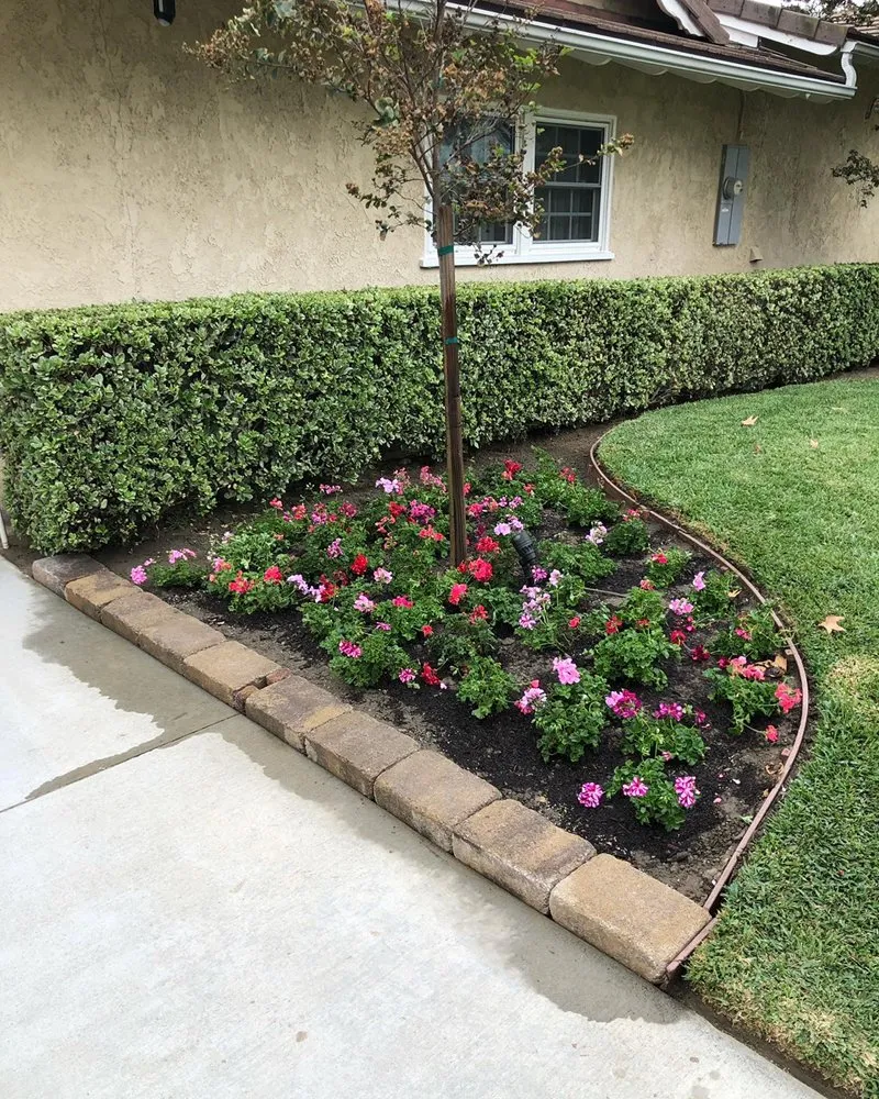 Professional lawn mowing service in Downey, CA by Magnolia Landscape & Design