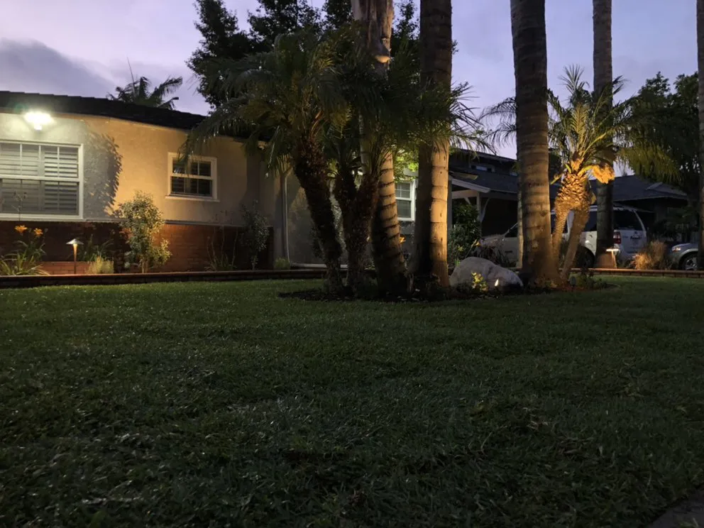 Custom garden landscaping in Downey, CA - Magnolia Landscape & Design