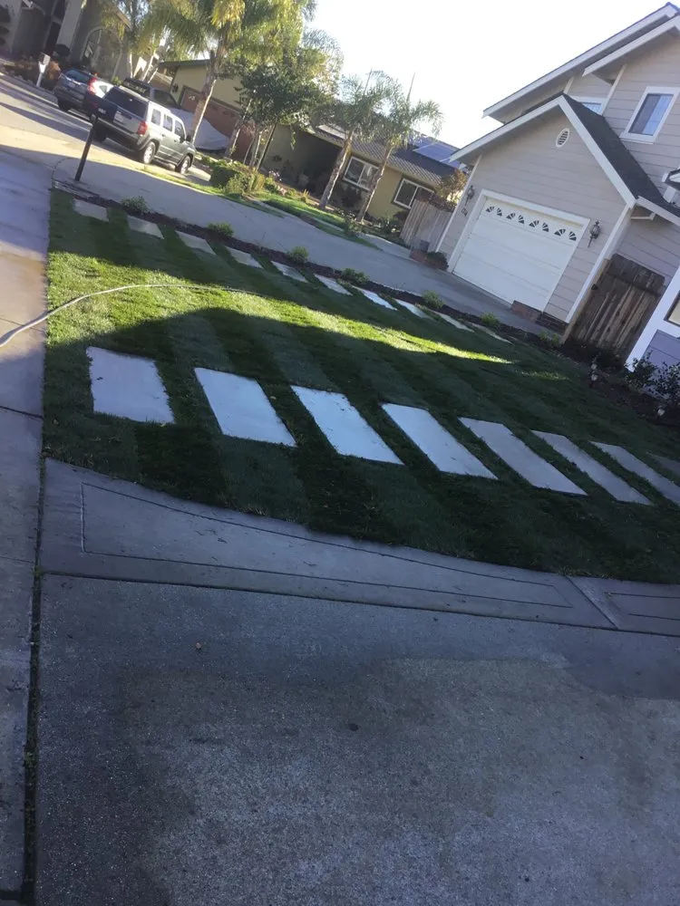 Affordable landscape design with custom design in San Martin, CA by Magnolia Landscape