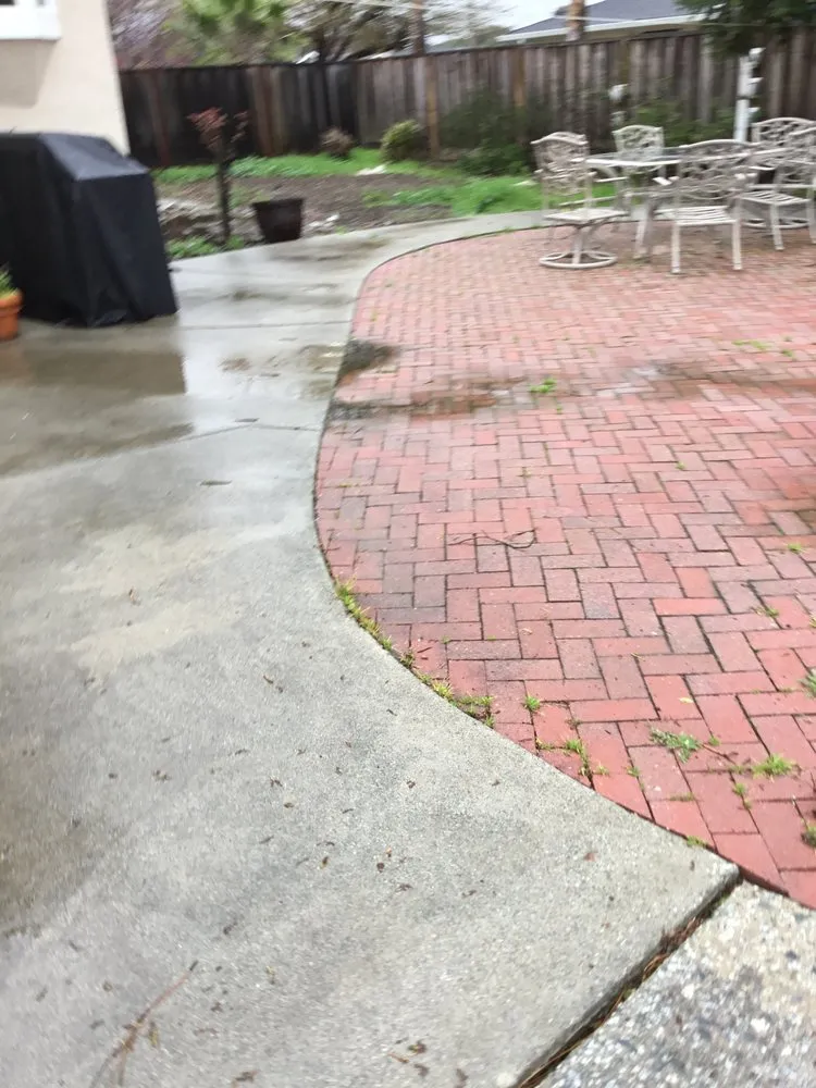 Custom yard cleanup service near you in San Martin, CA by Magnolia Landscape