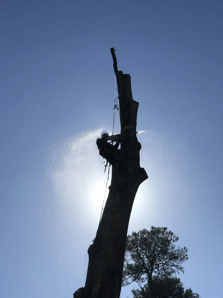 Professional landscape design in Mableton, GA by Magnolia Landscapes