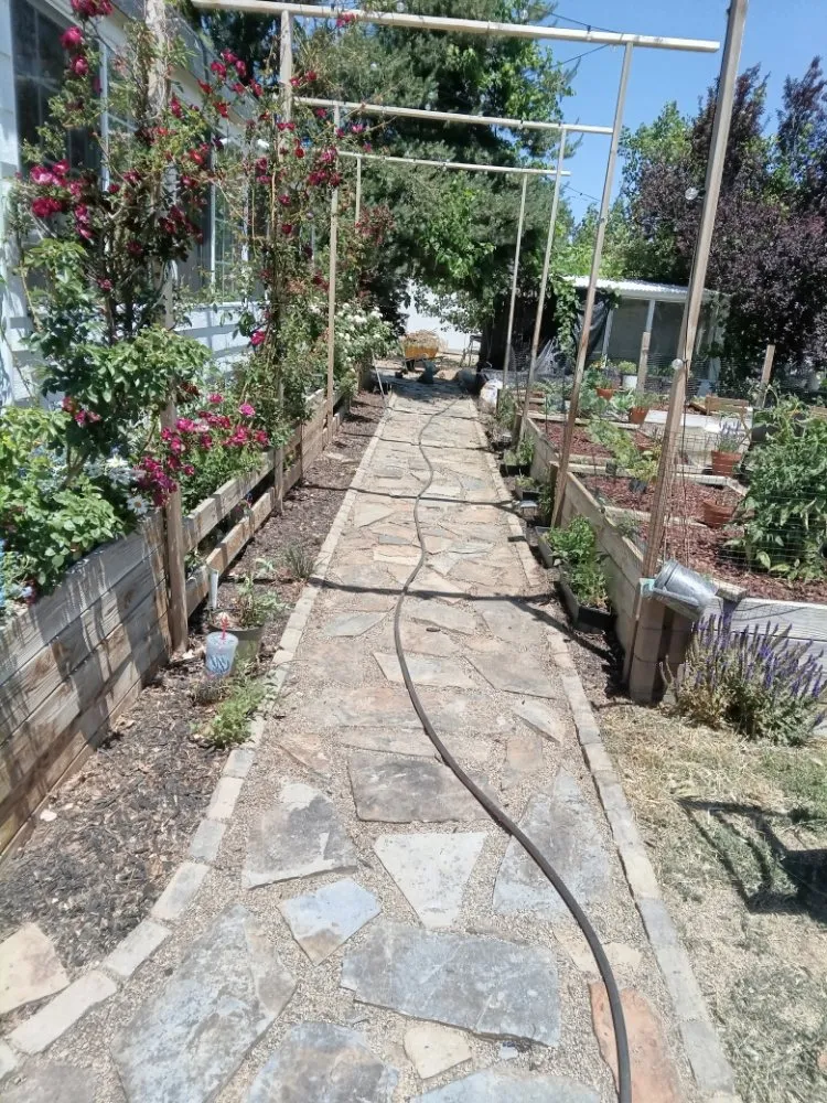 Custom landscaping services with custom design across Carson City, NV - Magnolia Landscaping & Maintenance