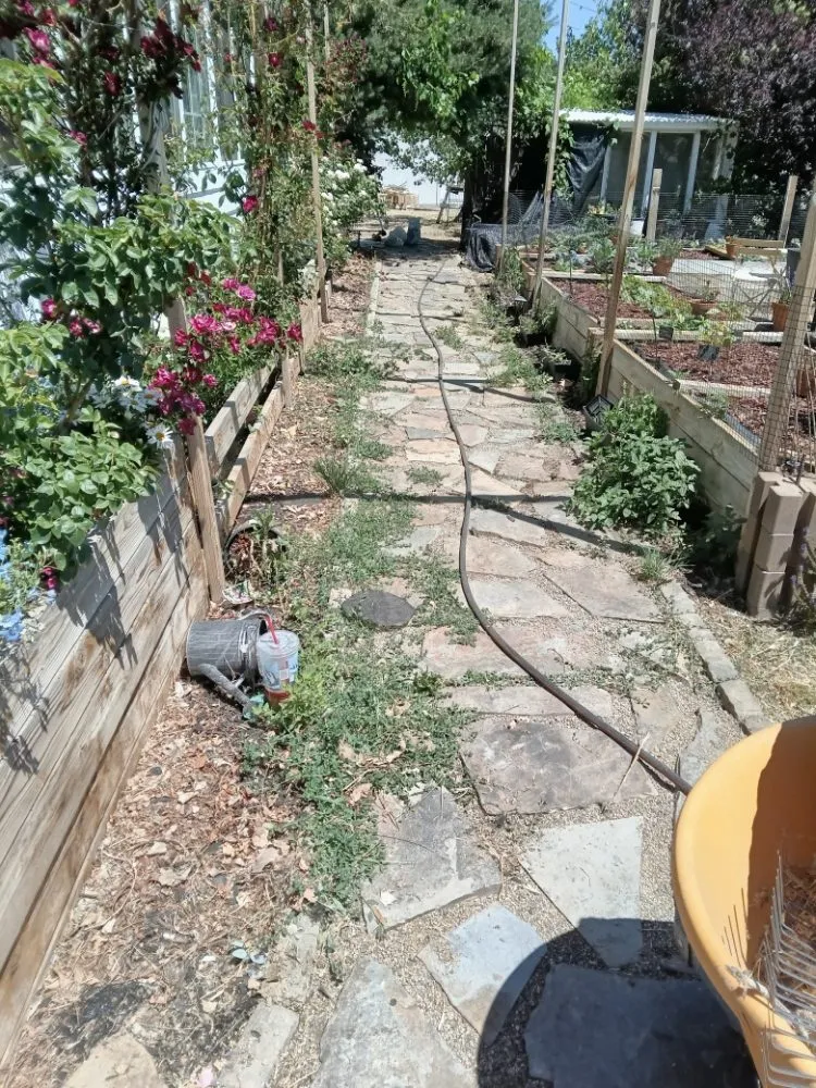 Custom lawn mowing service near you in Carson City, NV by Magnolia Landscaping & Maintenance