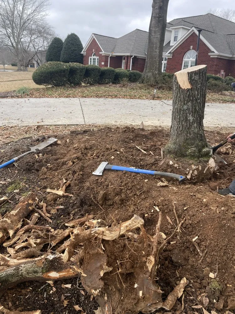 Local outdoor landscaping near you in Albertville, AL by Magnolia Landscaping & Tree Service