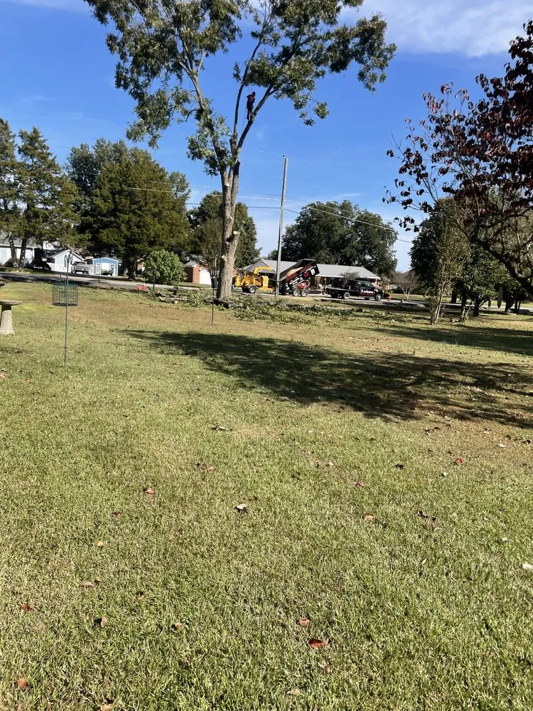 Custom landscaping services with custom design in Albertville, AL by Magnolia Landscaping & Tree Service