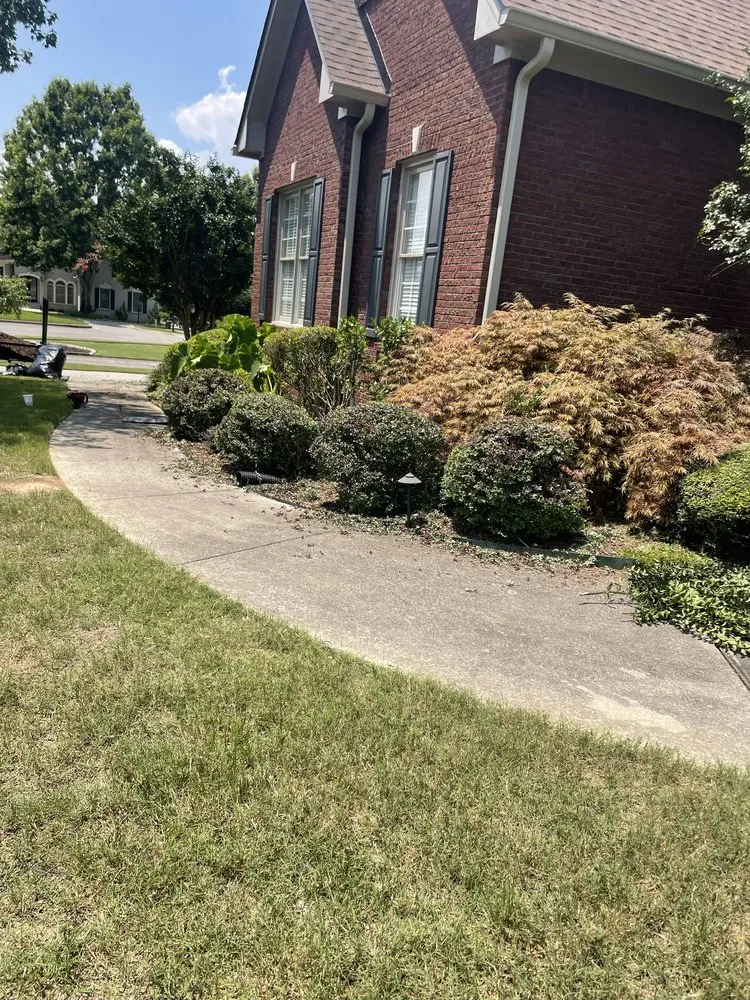 Custom landscape design experts serving Albertville, AL - Magnolia Landscaping & Tree Service