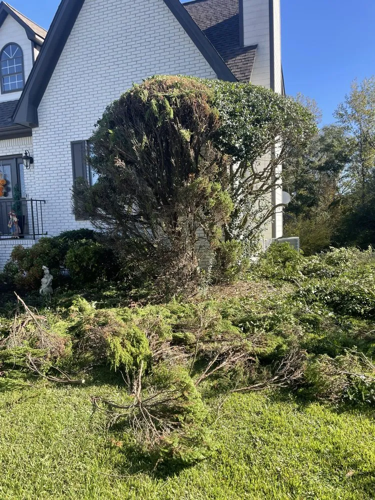 Affordable landscape installation near you across Albertville, AL - Magnolia Landscaping & Tree Service