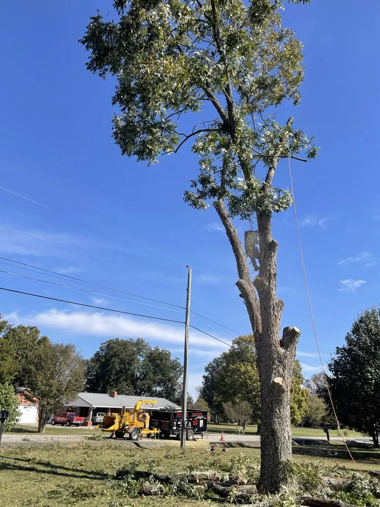 Reliable landscape installation in Albertville, AL - Magnolia Landscaping & Tree Service