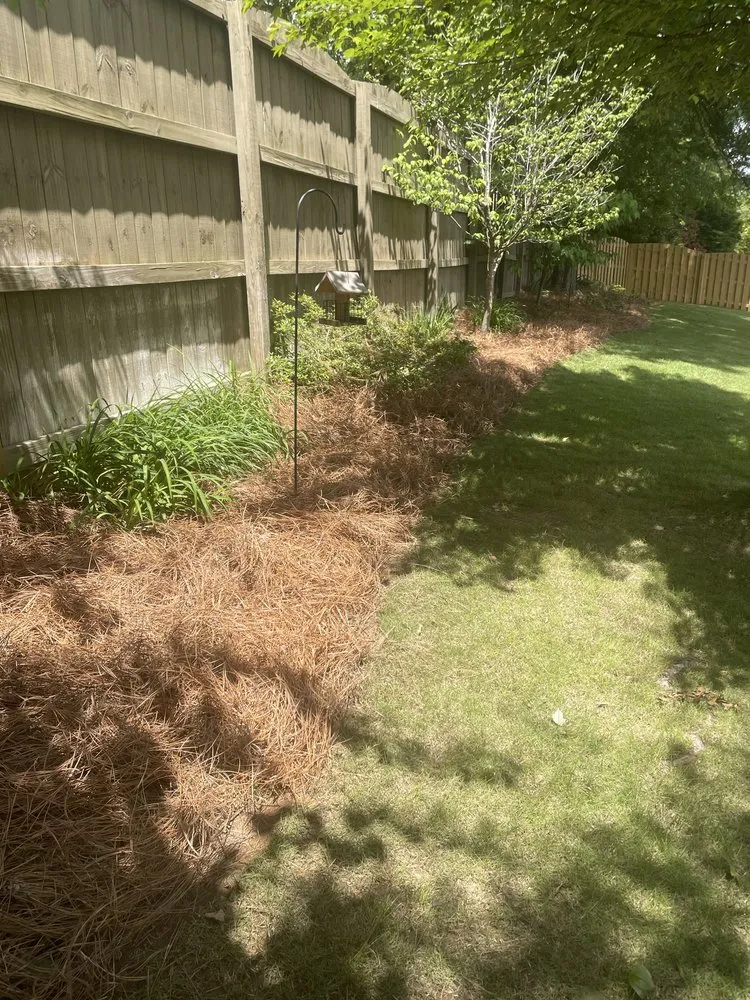 Professional landscaping services for outdoor upgrades across Albertville, AL - Magnolia Landscaping & Tree Service