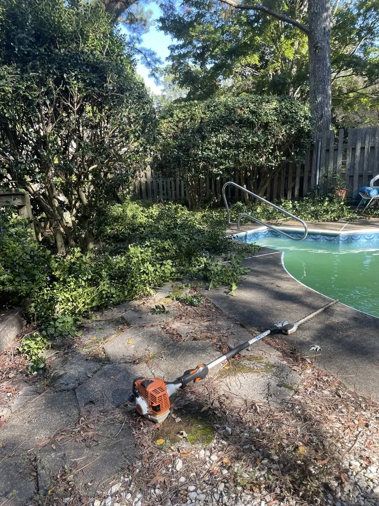 Trusted yard cleanup service with custom design in Albertville, AL by Magnolia Landscaping & Tree Service