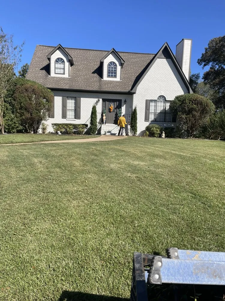 Custom yard cleanup service experts serving Albertville, AL - Magnolia Landscaping & Tree Service