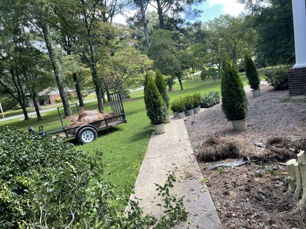 Expert landscaping services experts serving Albertville, AL - Magnolia Landscaping & Tree Service