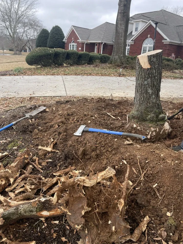 Custom landscaping services near you across Albertville, AL - Magnolia Landscaping & Tree Service