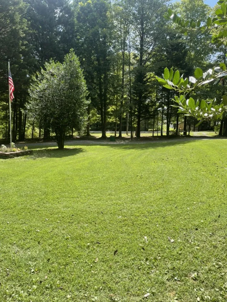 Expert yard maintenance in Danville, VA - Magnolia Landscaping and More