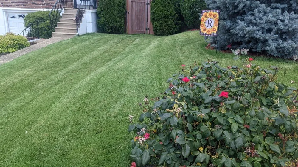 Affordable yard cleanup service for outdoor upgrades across Andalusia, PA - Magnolia Landscaping
