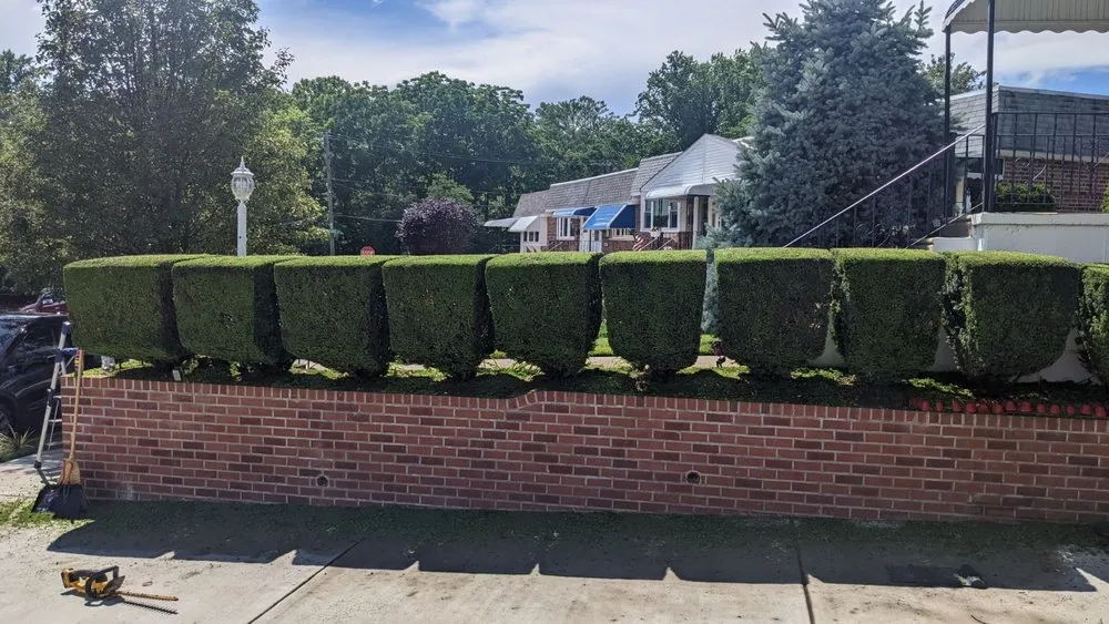 Reliable lawn mowing service for outdoor upgrades across Andalusia, PA - Magnolia Landscaping