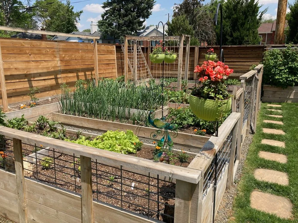 Top-rated landscaping services with custom design across Denver, CO - Magnolia Landscaping